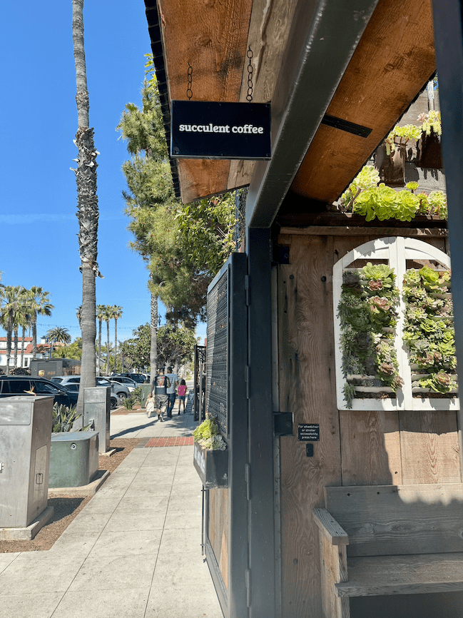 Succulent Coffee - The Brick Hotel
