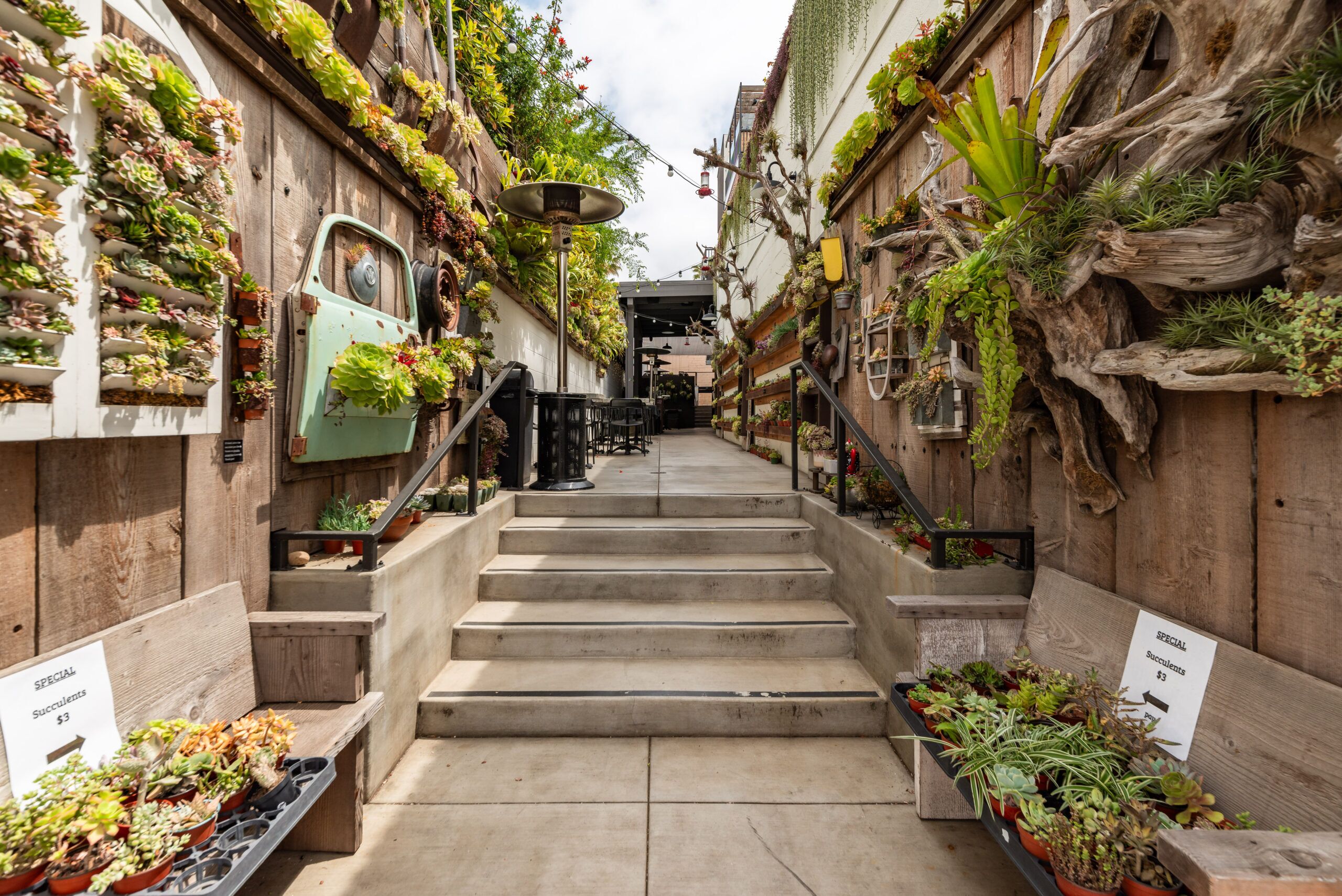 Succulent Coffee - The Brick Hotel