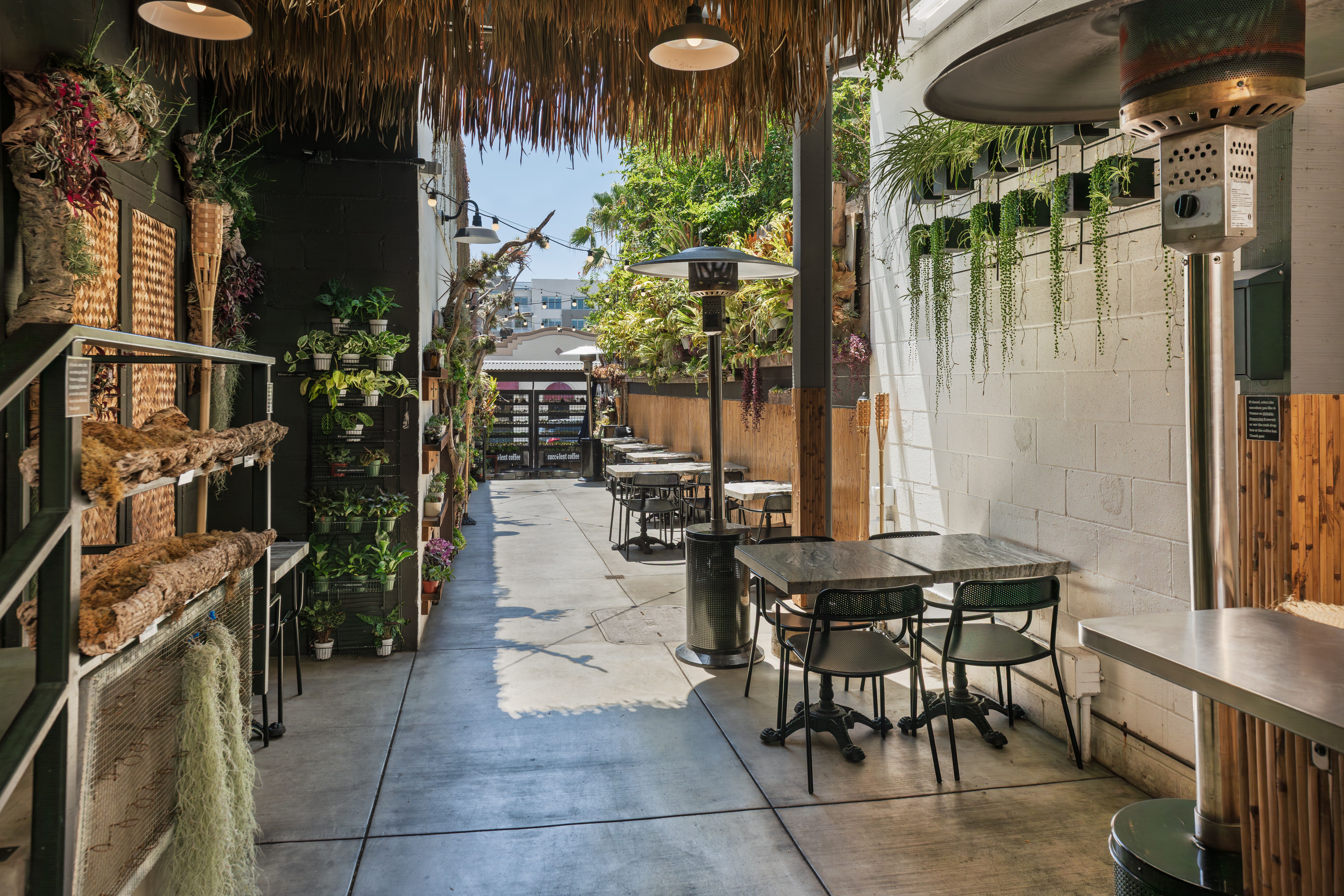 Succulent Coffee - The Brick Hotel